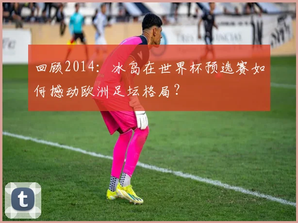回顾2014:冰岛在世界杯预选赛如何撼动欧洲足坛格局?