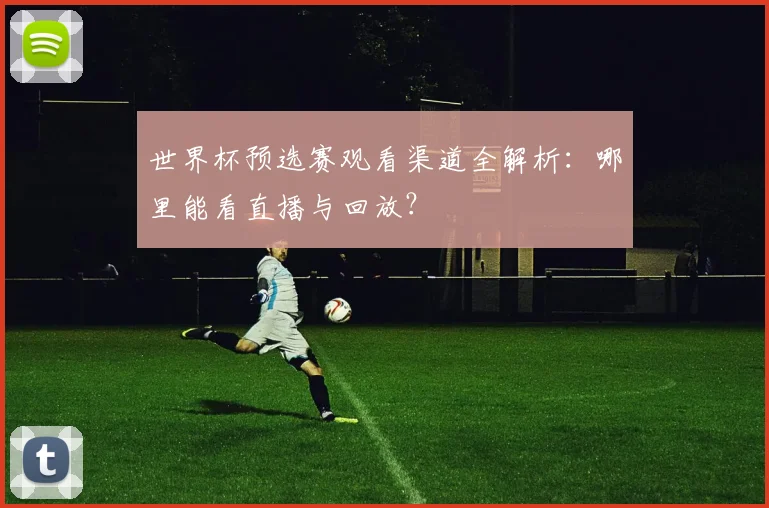 世界杯预选赛观看渠道全解析:哪里能看直播与回放?
