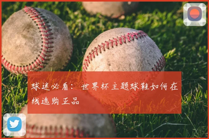 球迷必看:世界杯主题球鞋如何在线选购正品