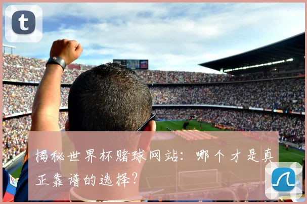 揭秘世界杯赌球网站：哪个才是真正靠谱的选择？
