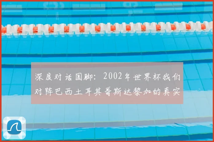 深度对话国脚:2002年世界杯我们对阵巴西土耳其哥斯达黎加的真实感受