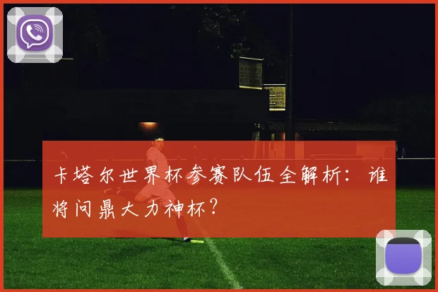 卡塔尔世界杯参赛队伍全解析：谁将问鼎大力神杯？