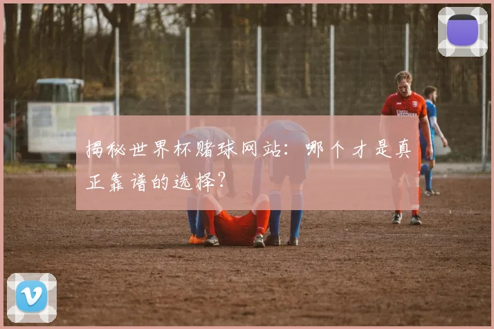 揭秘世界杯赌球网站：哪个才是真正靠谱的选择？