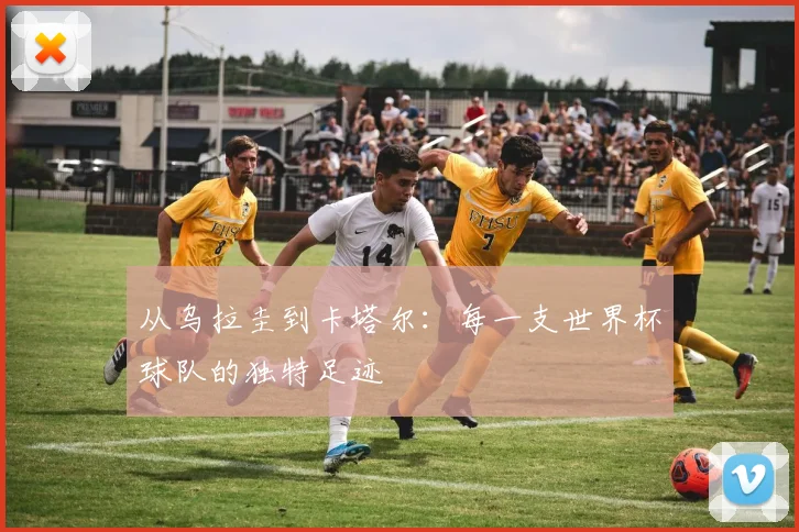 从乌拉圭到卡塔尔：每一支世界杯球队的独特足迹