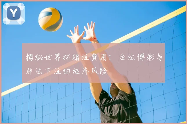 揭秘世界杯赌注费用：合法博彩与非法下注的经济风险