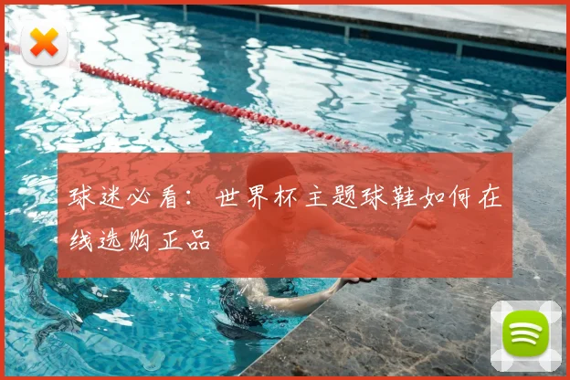 球迷必看:世界杯主题球鞋如何在线选购正品