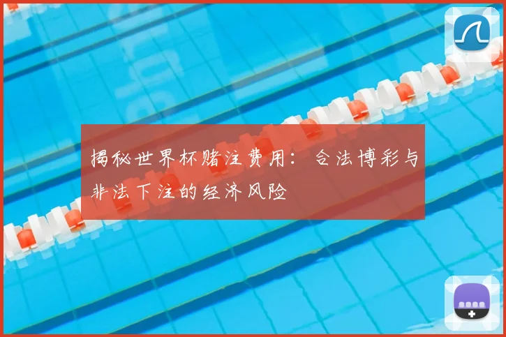 揭秘世界杯赌注费用：合法博彩与非法下注的经济风险