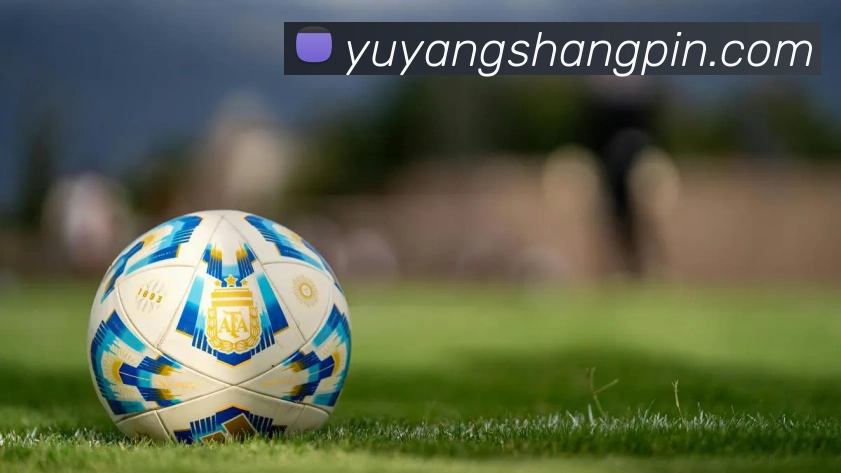 pg娱乐游戏正版入口服务体系