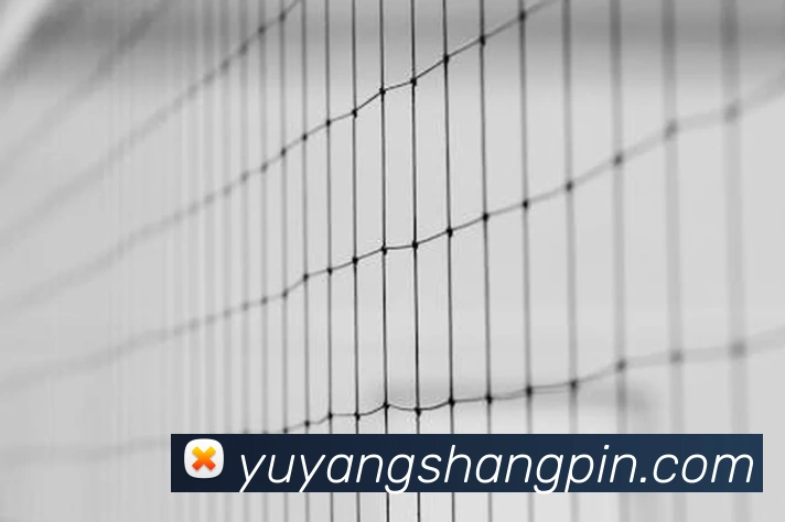 App 展示图